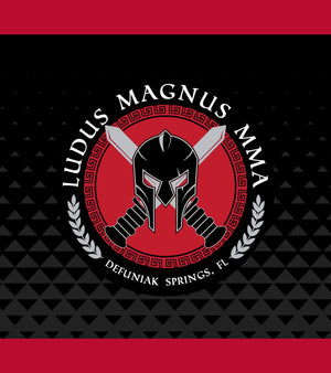Ludus Magnus MMA - Grip Knee
