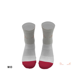 Webster Holdings - MID