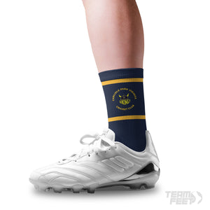 Carlisle Park Vikings Cricket Club - Mid