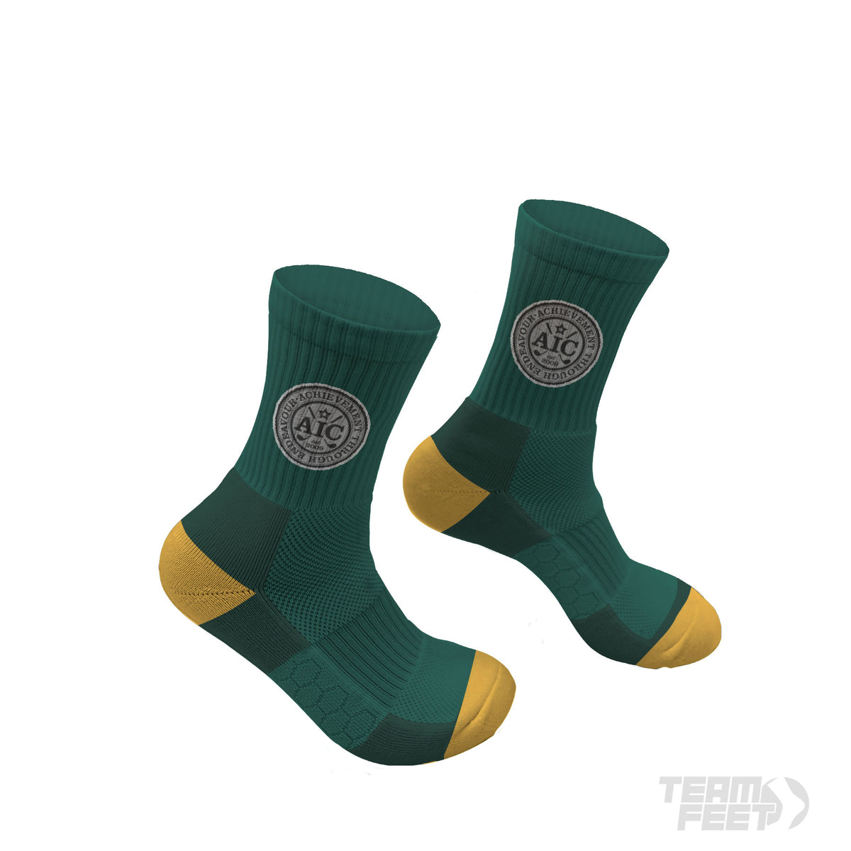 AIC - MID mockup