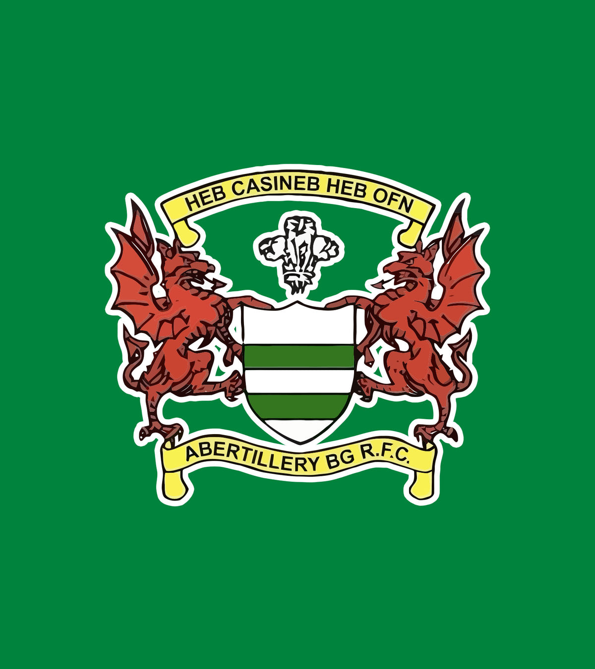 Abertillery mini & juniors - Grip Knee
