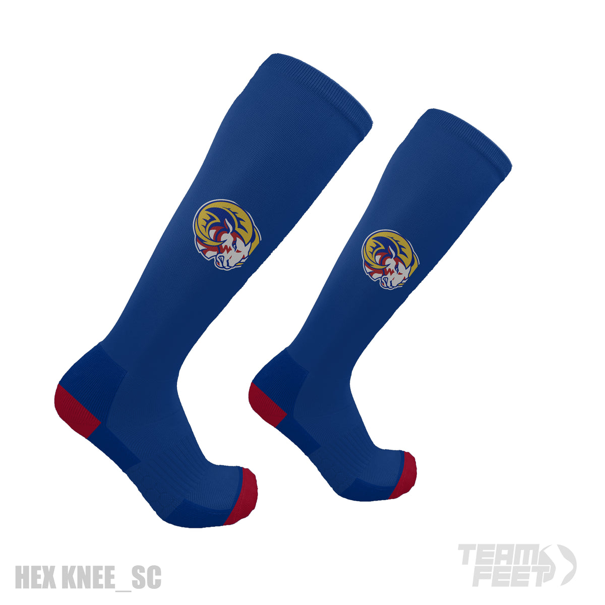 Bighorns 2024 - KNEE mockup