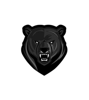 Binghamton Black Bears - MID