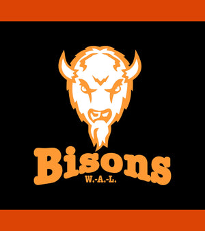 Bisons - MID