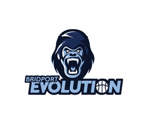 Bridport Evolution - WRISTBANDS