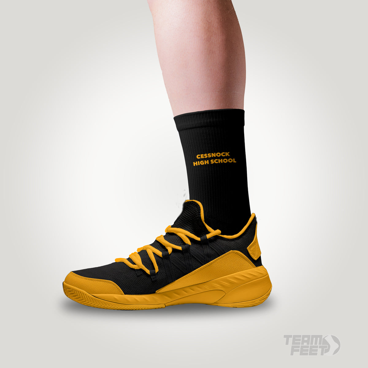 Cessnock high school - MID