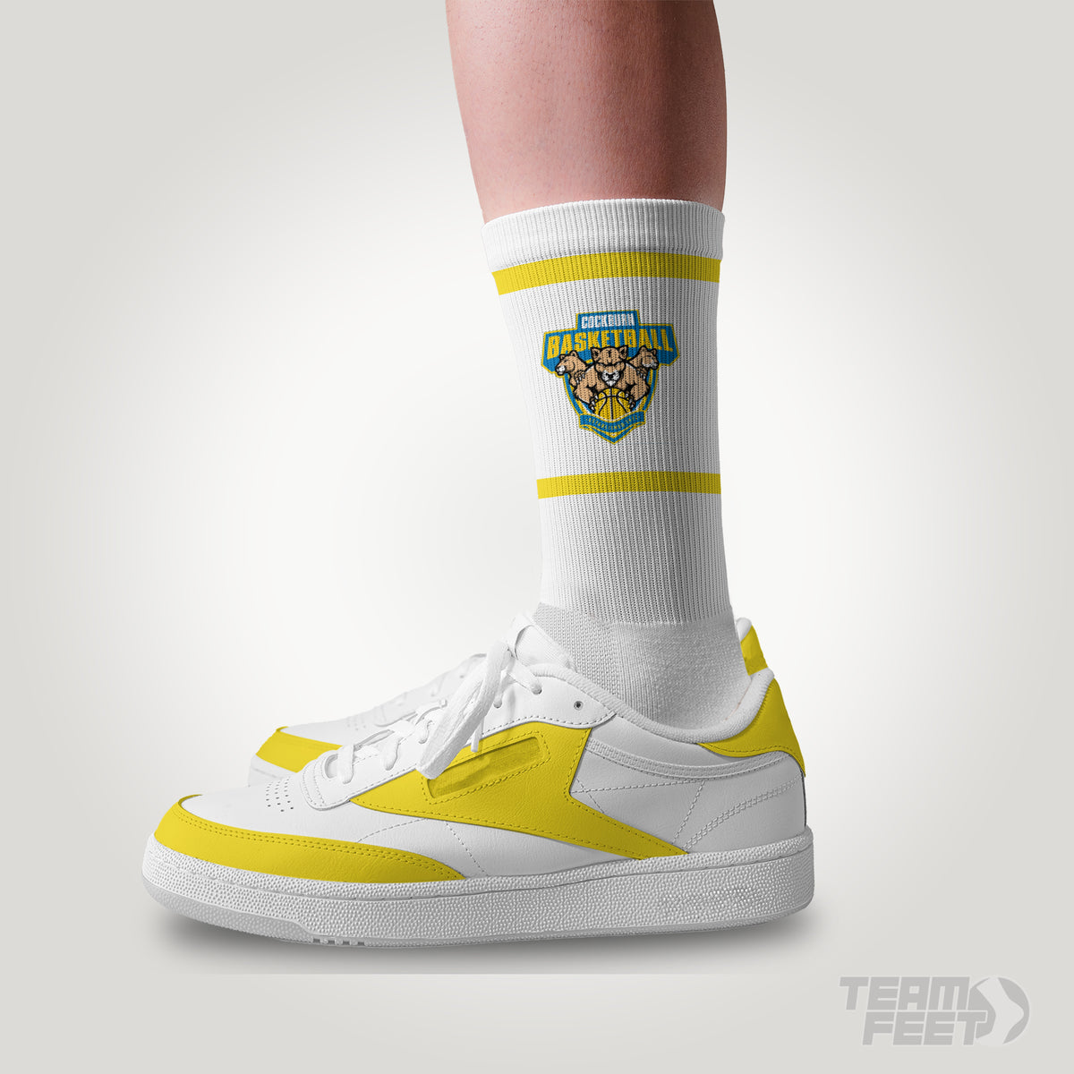Cougars - CREW mockup