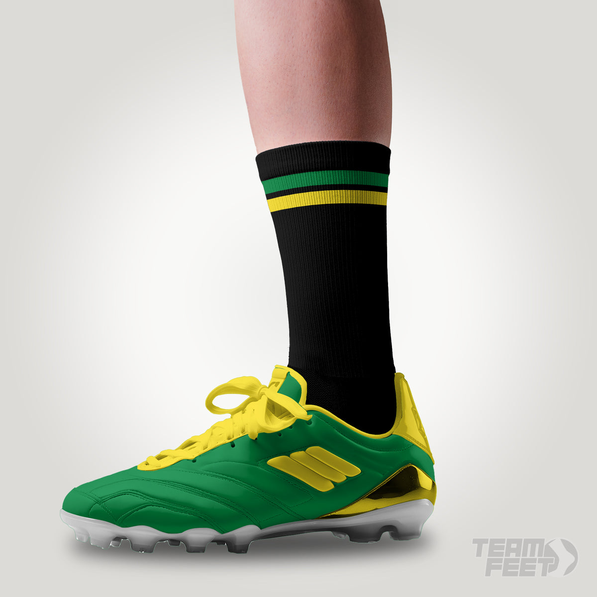 Dromana tigers - CREW mockup
