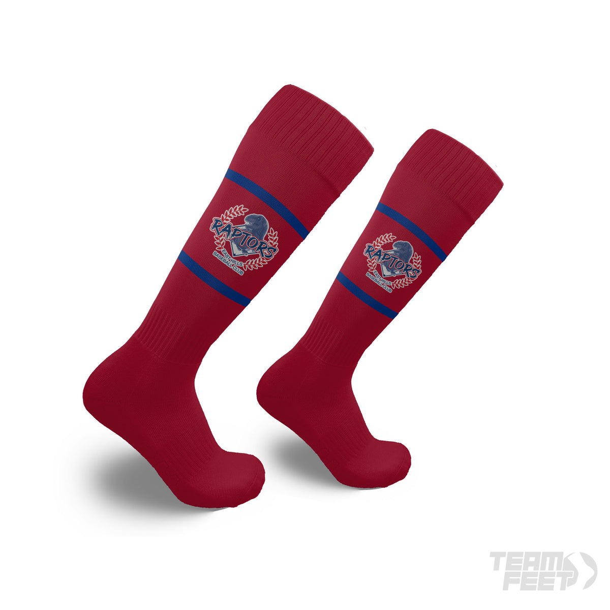EHRBC - KNEE mockup