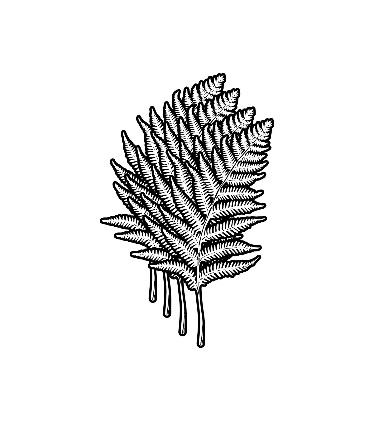 Four Ferns - Crew
