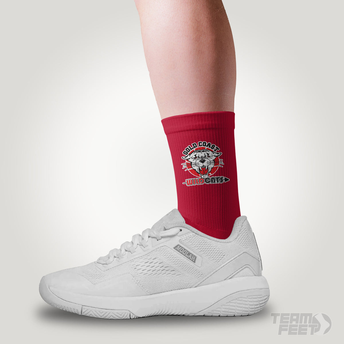 Gold Coast Wildcats - MID