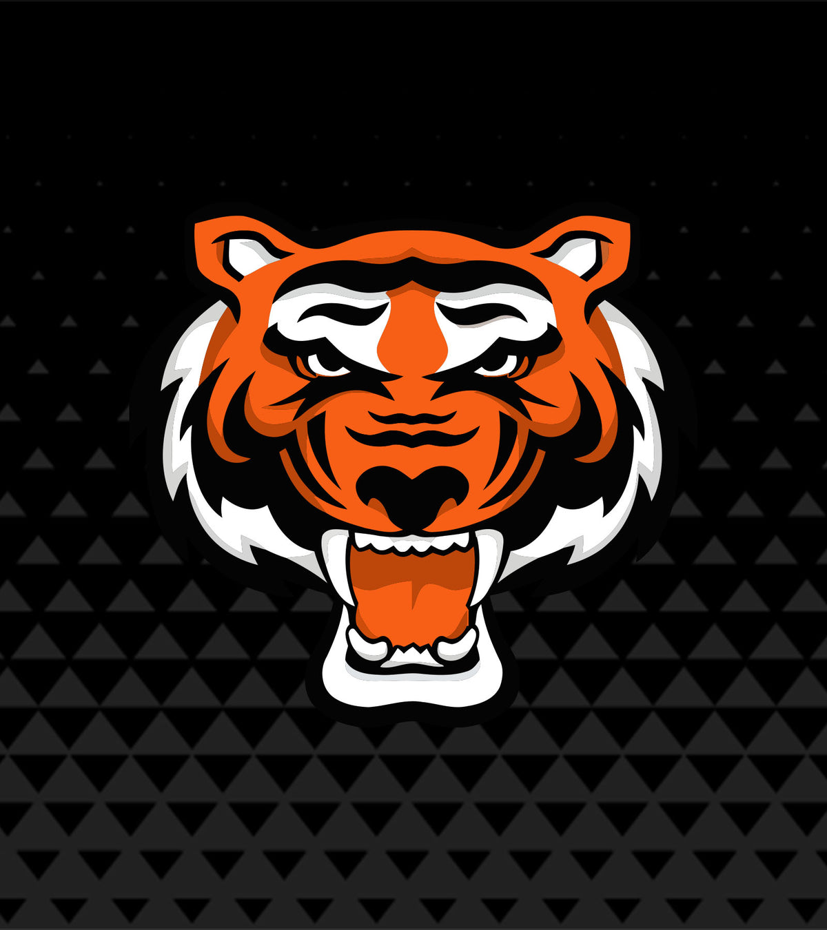 Gonzales Tigers - KNEE