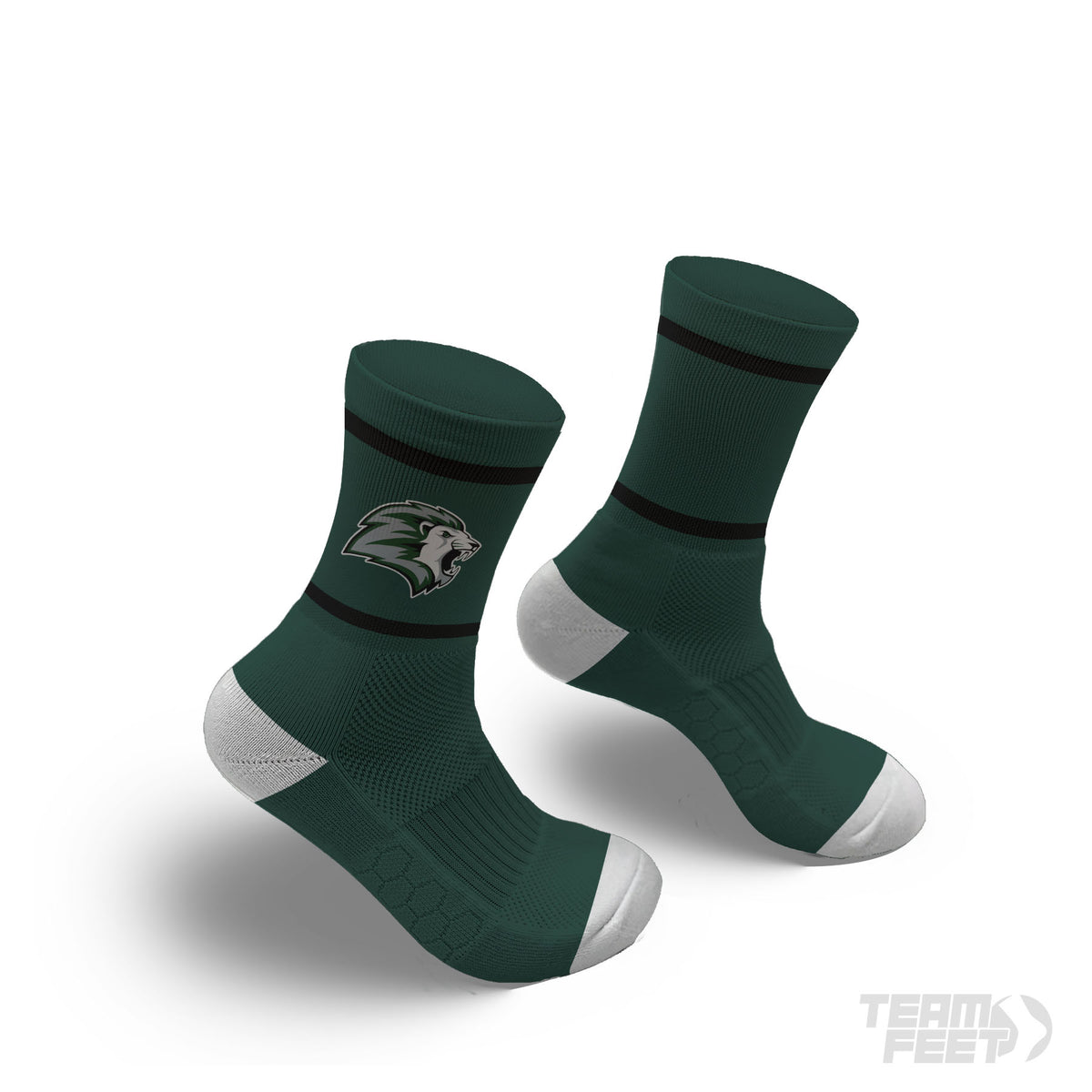 Haworth Lions - MID mockup