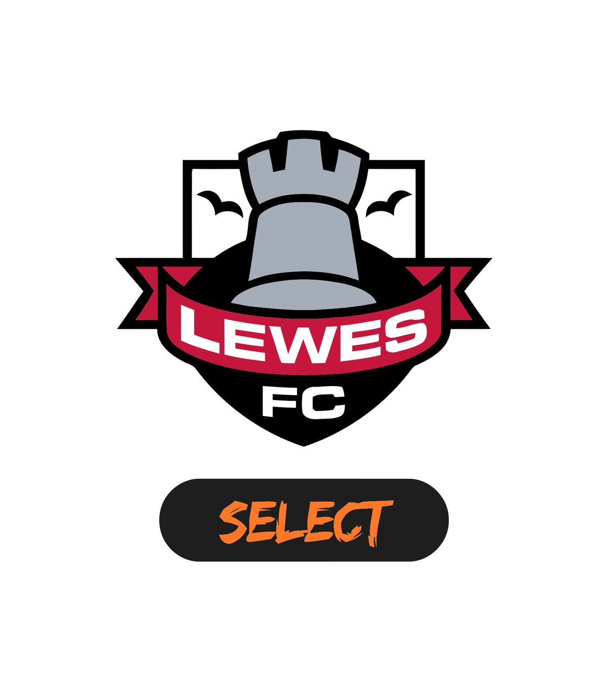 Lewes fc select - MID