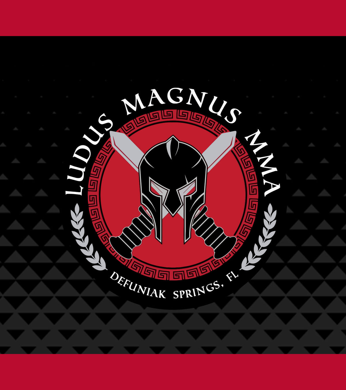 Ludus Magnus MMA - Grip Knee