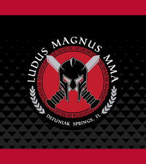 Ludus Magnus MMA - Grip Knee