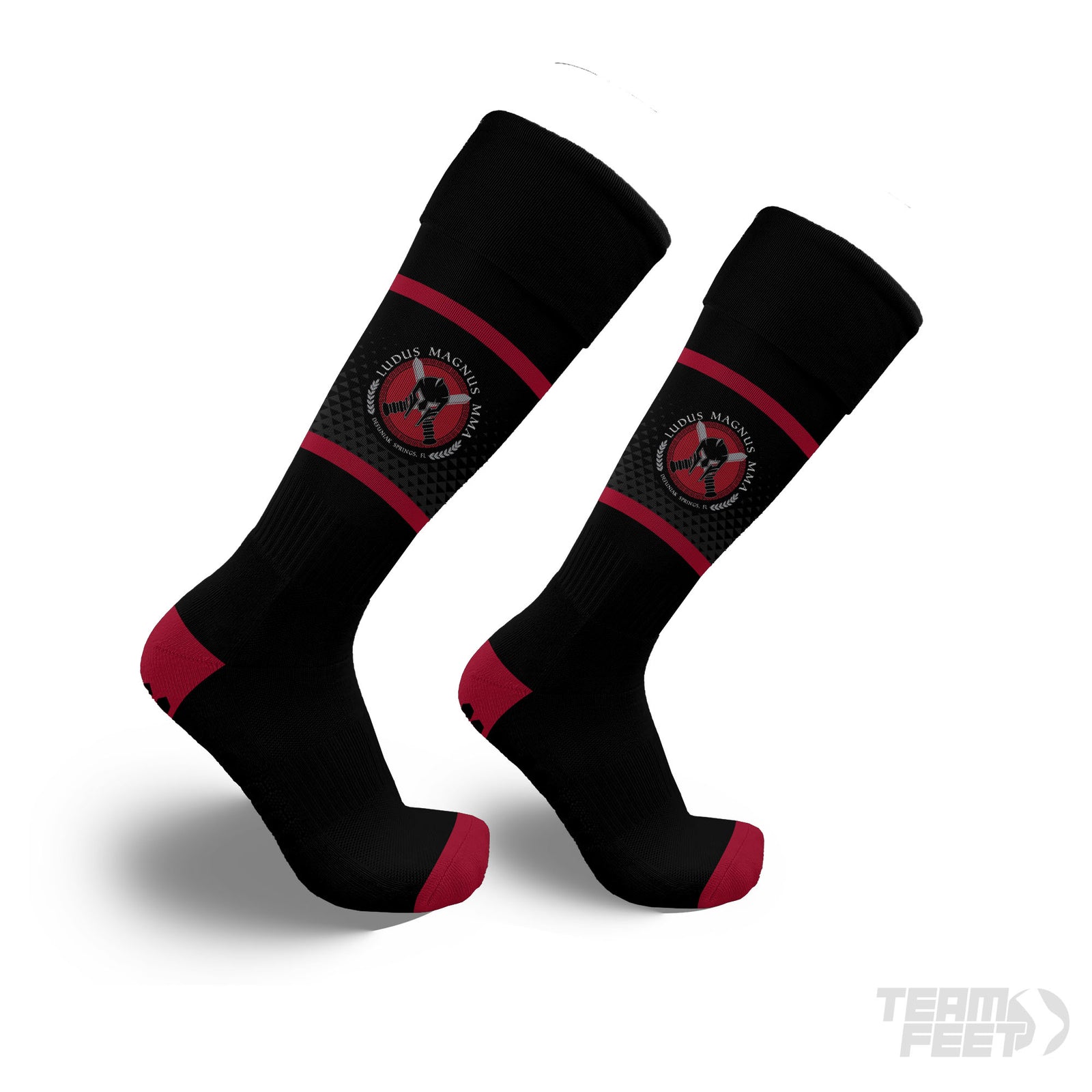 Ludus Magnus MMA - Grip Knee