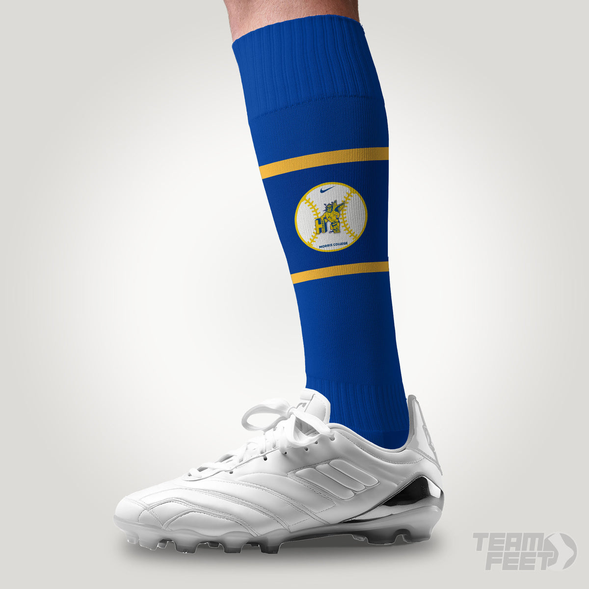 Morris College - KNEE