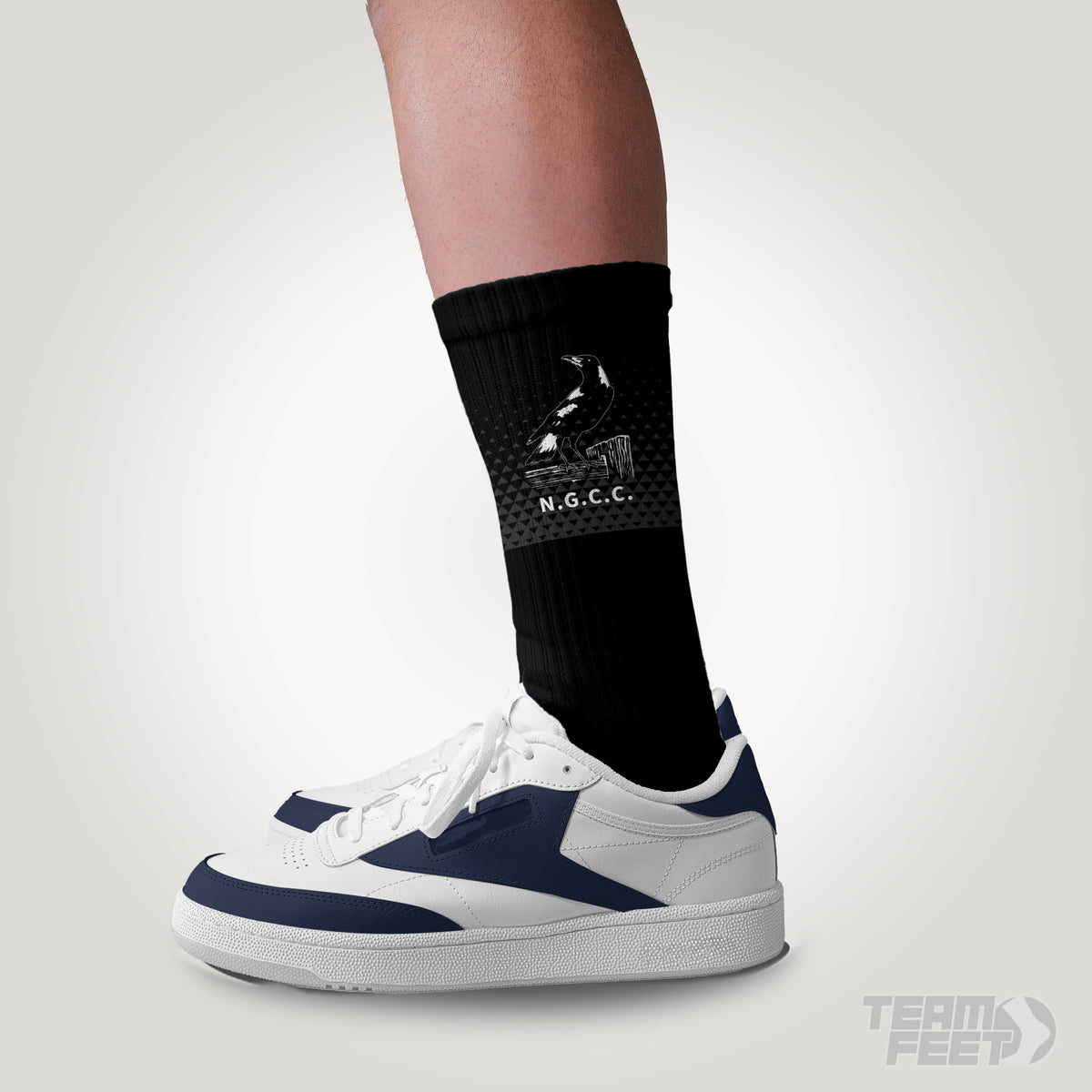 NGCC  - CREW mockup