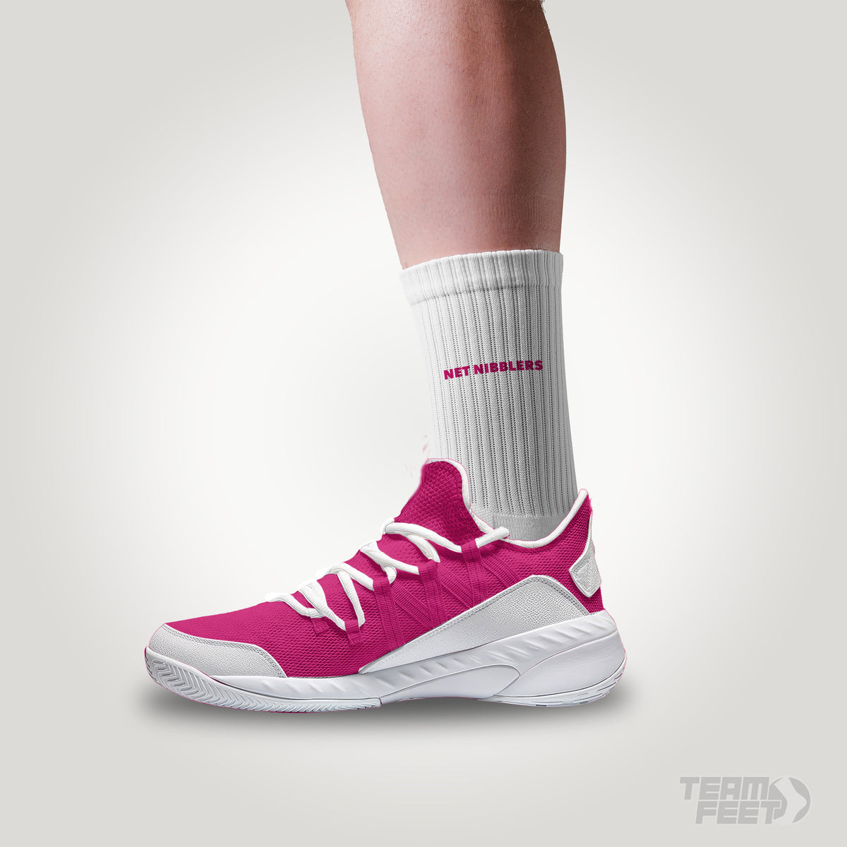 Net Nibblers - MID mockup