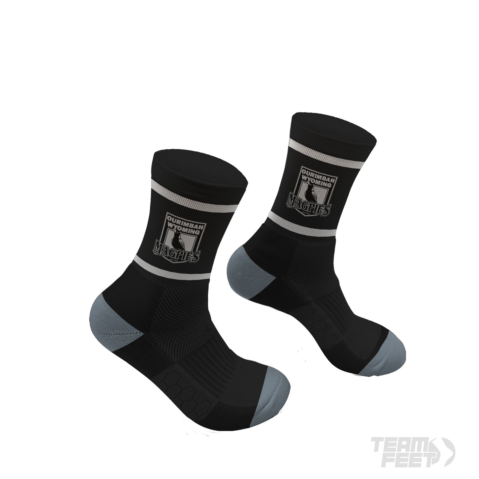 Ourimbah magpies - MID