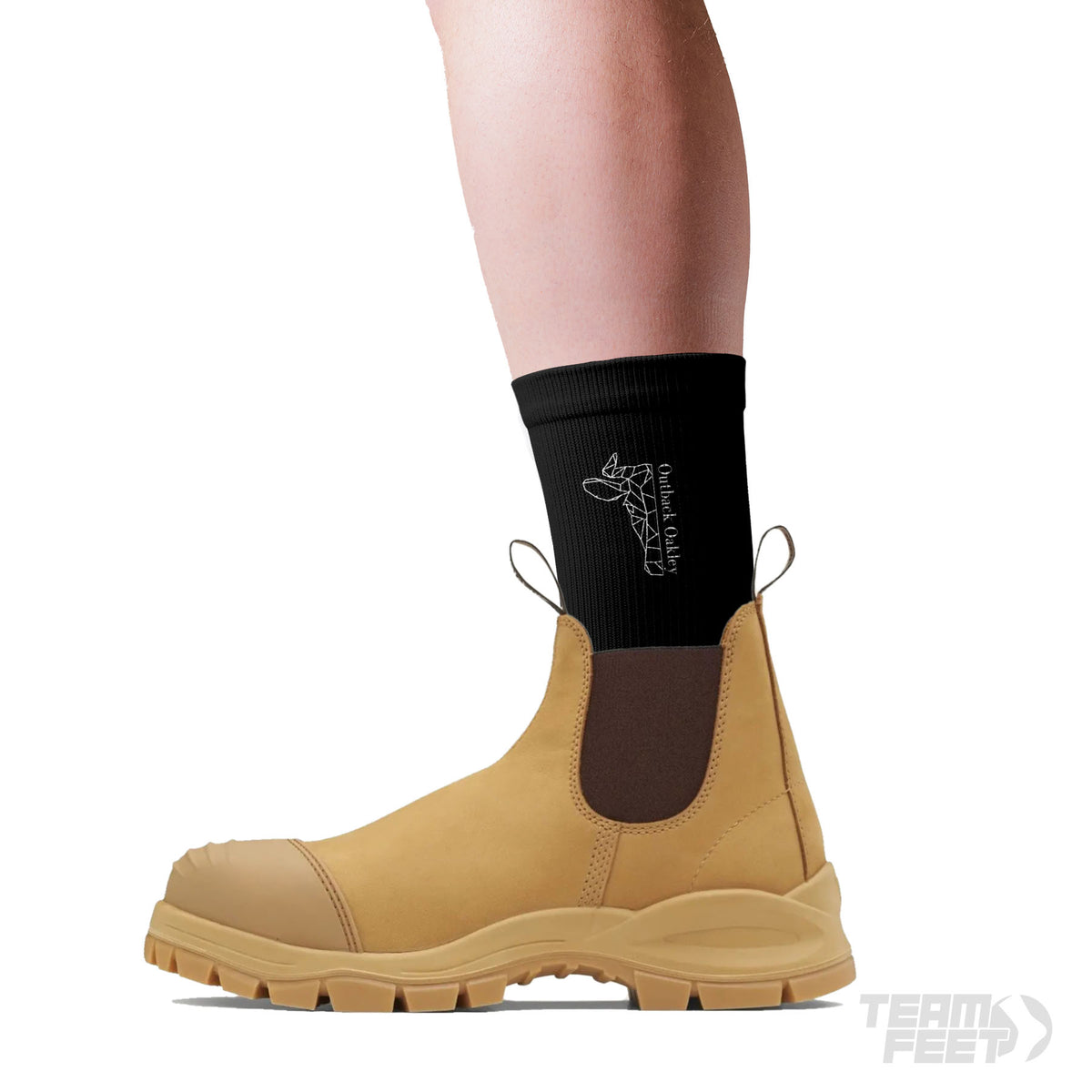 Outback Oakley - MID