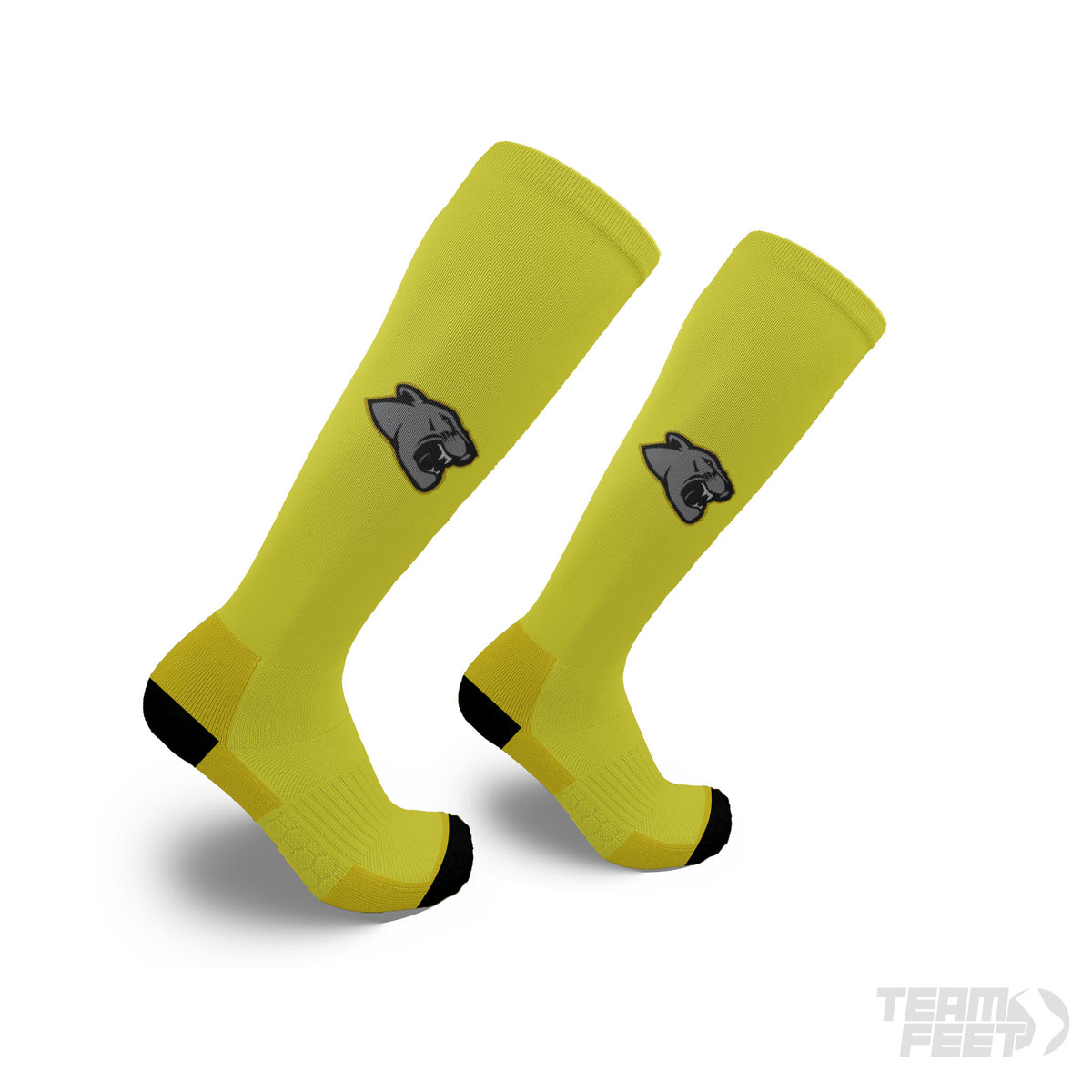 Panthers - KNEE mockup