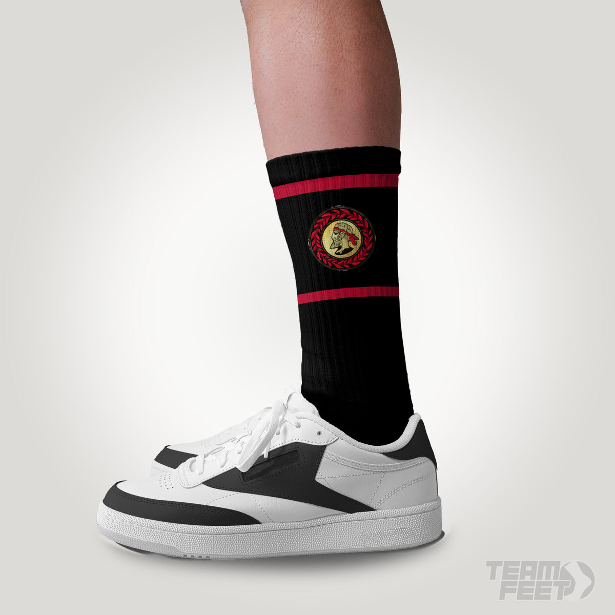 Penryn RFC  - CREW mockup