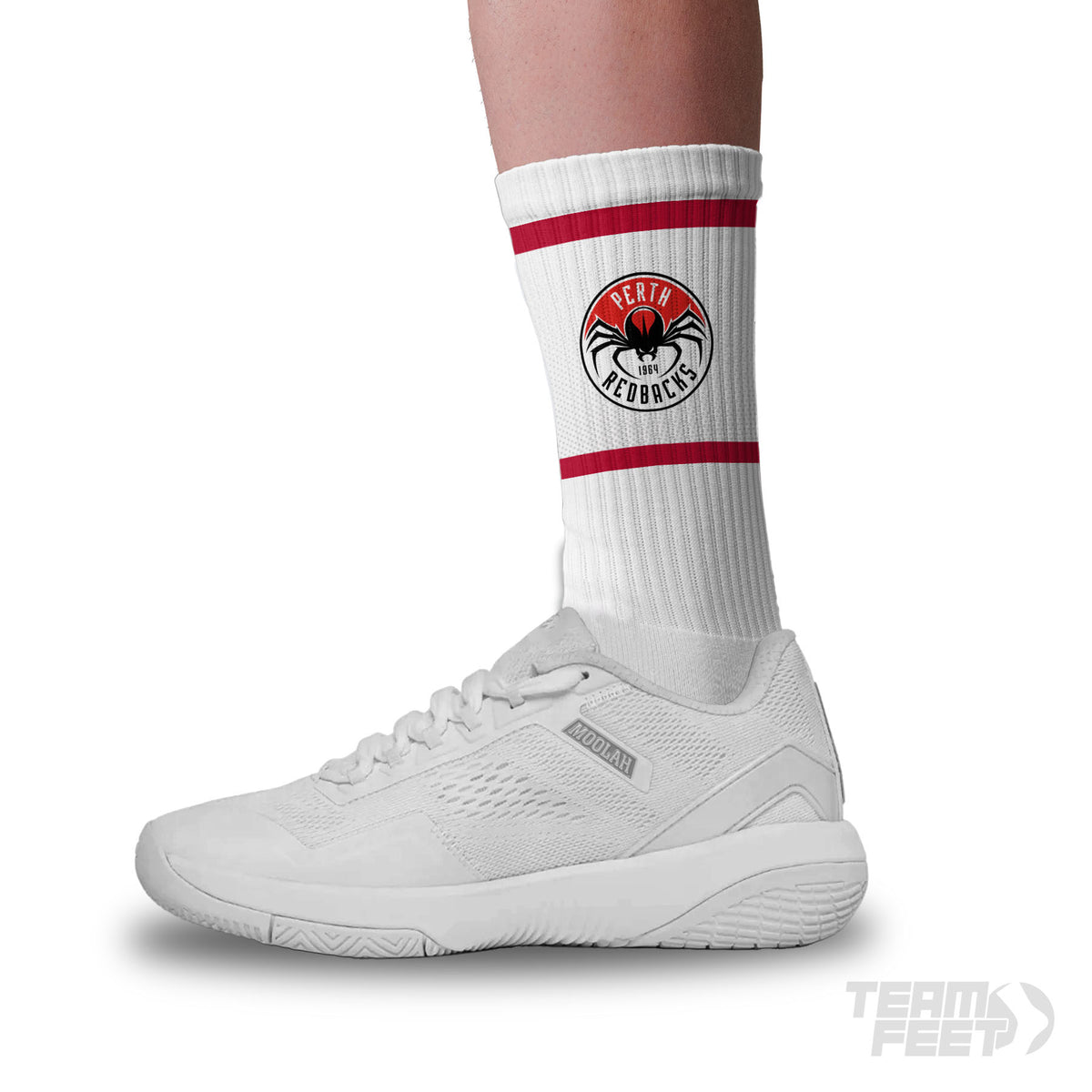 Perth Redbacks - Crew mockup
