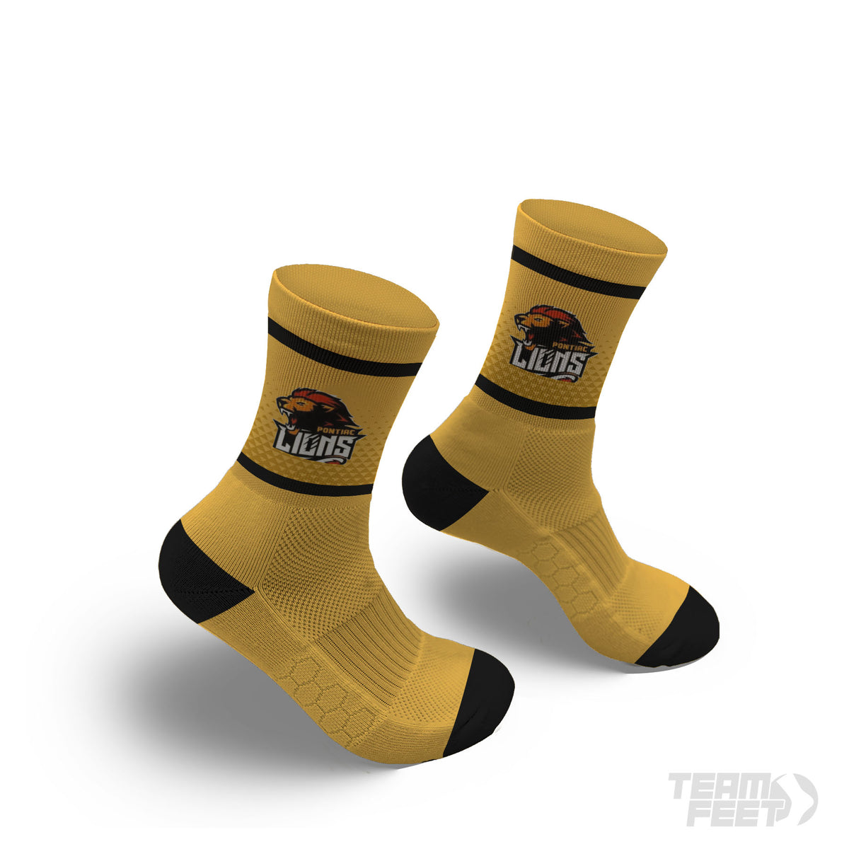 Pontiac Lions - MID mockup