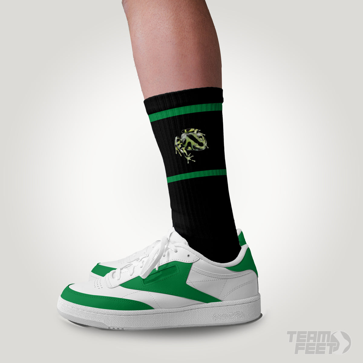 RapidClean - CREW mockup