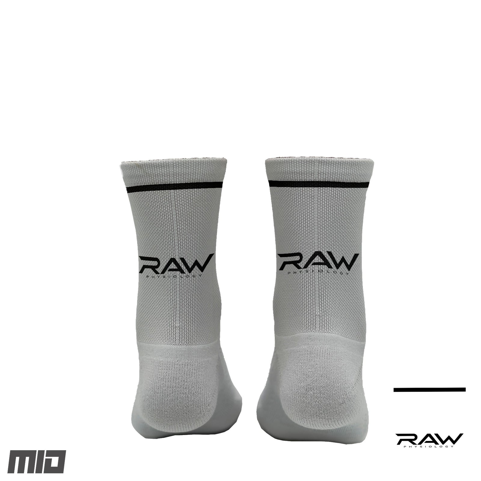 RAW Physiology  - MID