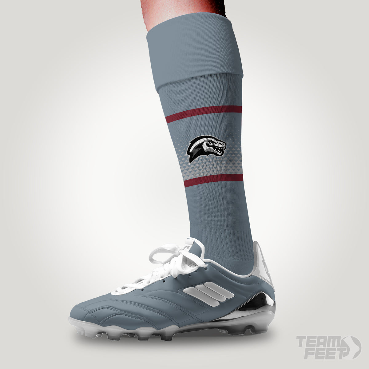 Rolleston raptors - KNEE mockup