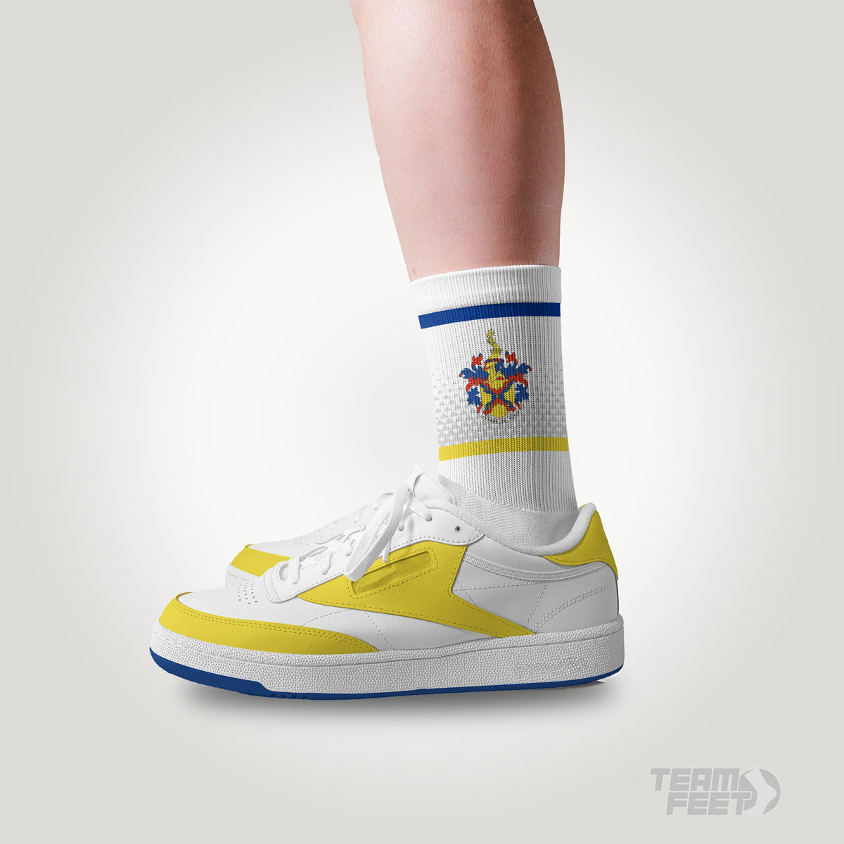 Sir Thomas Richs School  - MID