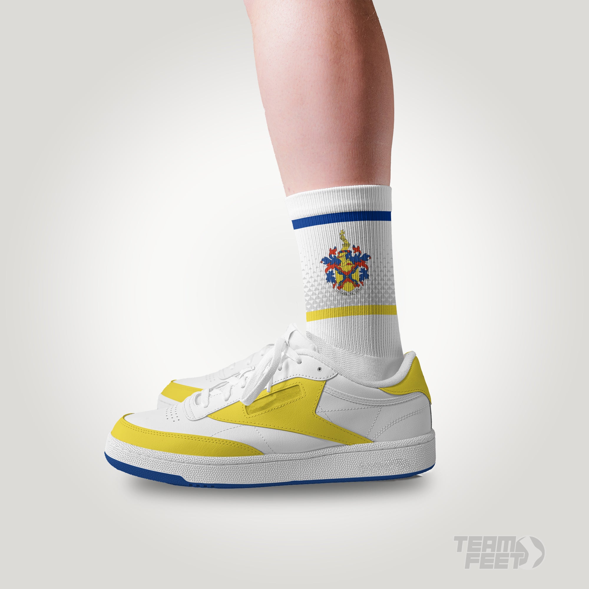 Sir Thomas Richs School  - MID