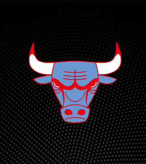 South Side Bulls - MID