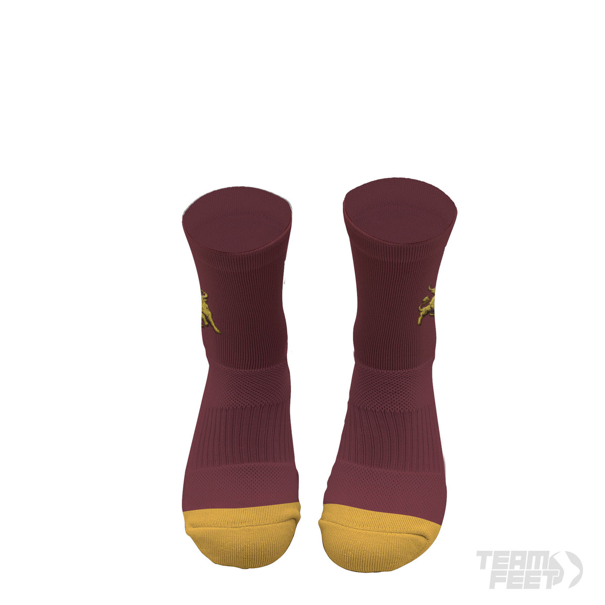 Golden Bulls basketball - Mid