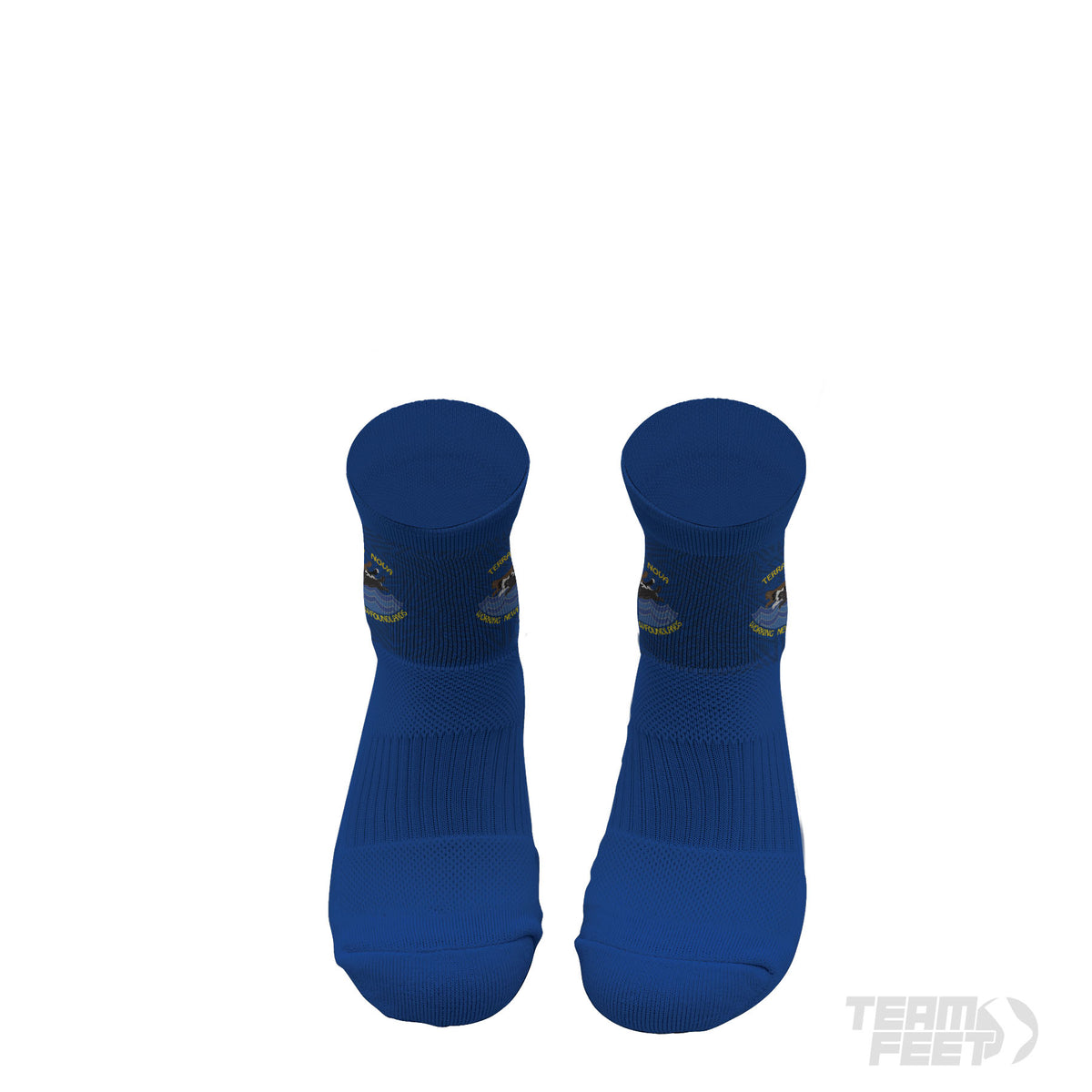 Terra nova - Quarter