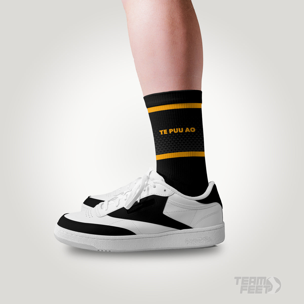 Te Puu Ao - MID mockup