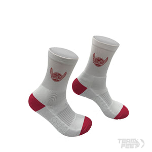 Team Flight Virginia - MID