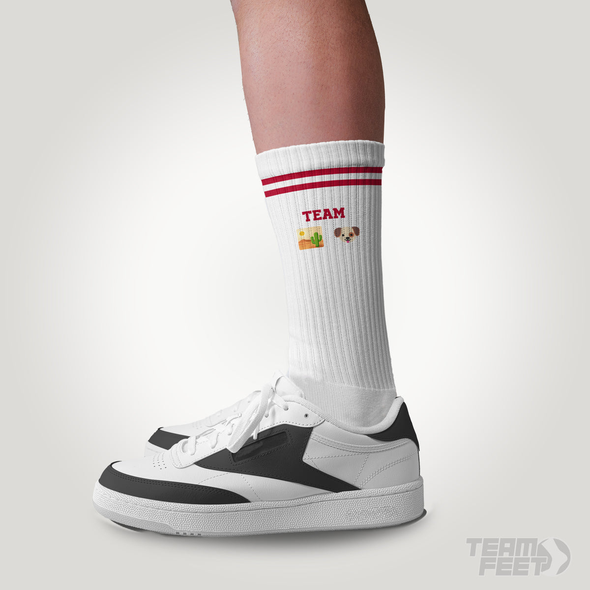Team desert dog - CREW mockup