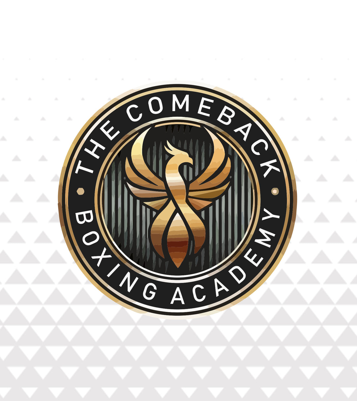 The Comback Boxing Academy - Crew