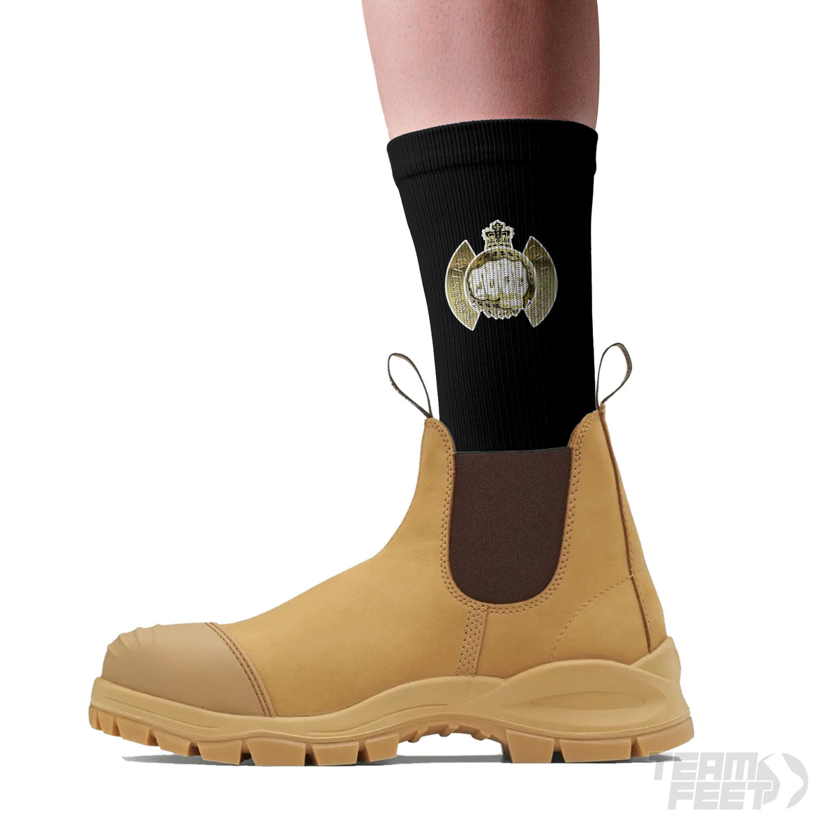 The MINISTRY of BOXING - Crew