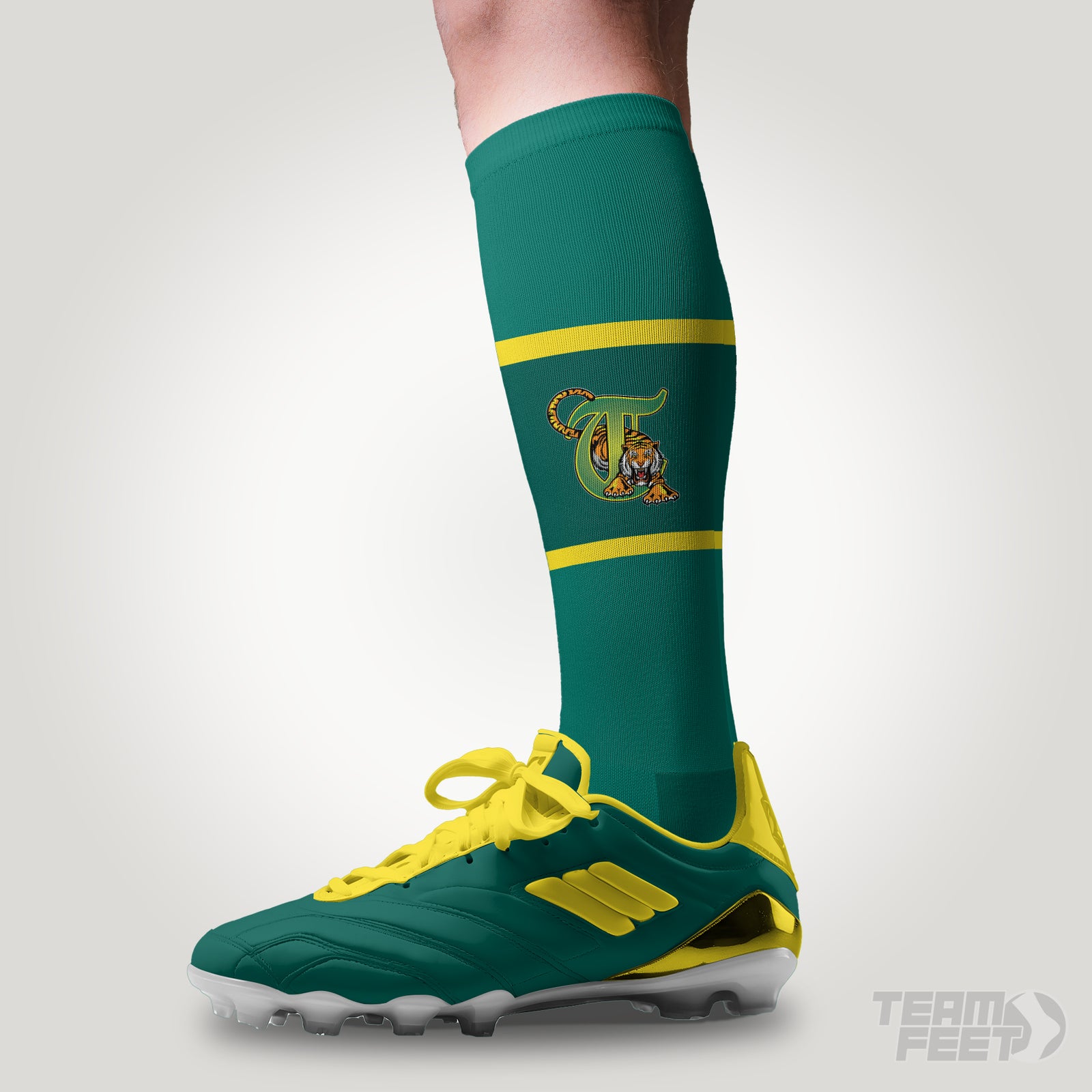 Toronto Tigers - KNEE