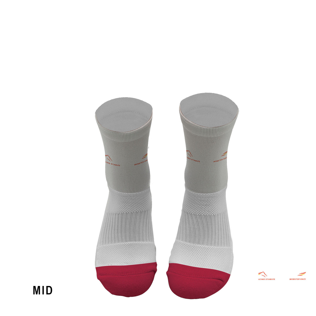 Webster Holdings  - MID