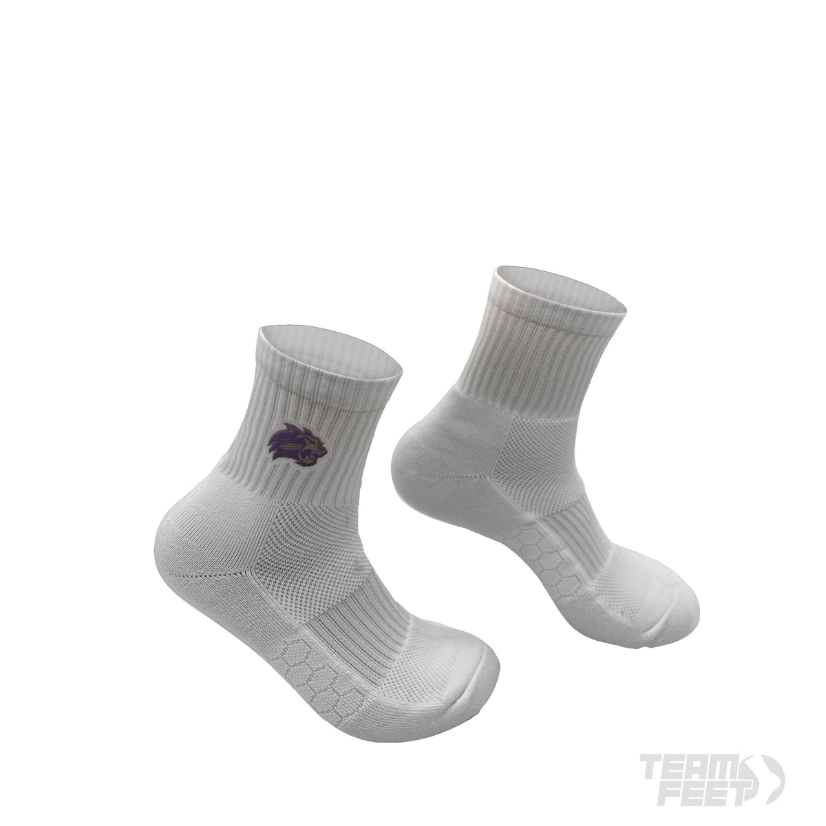 Western Carolina University - QUARTER mockup