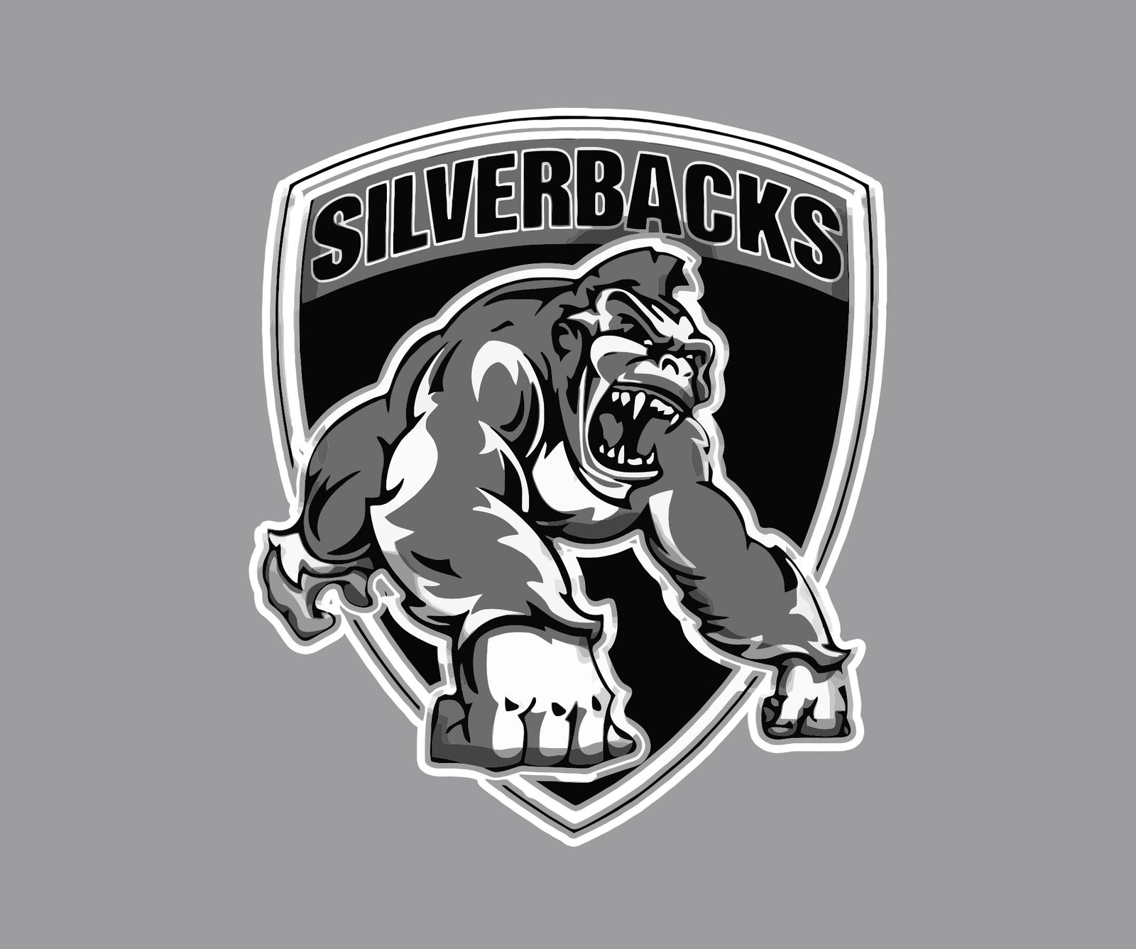 Virginia silverbacks - Wristbands