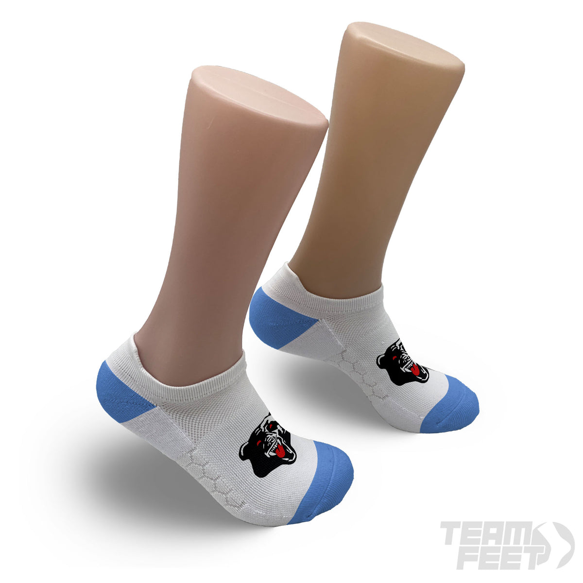 Ballina Bears Cricket Club - Low