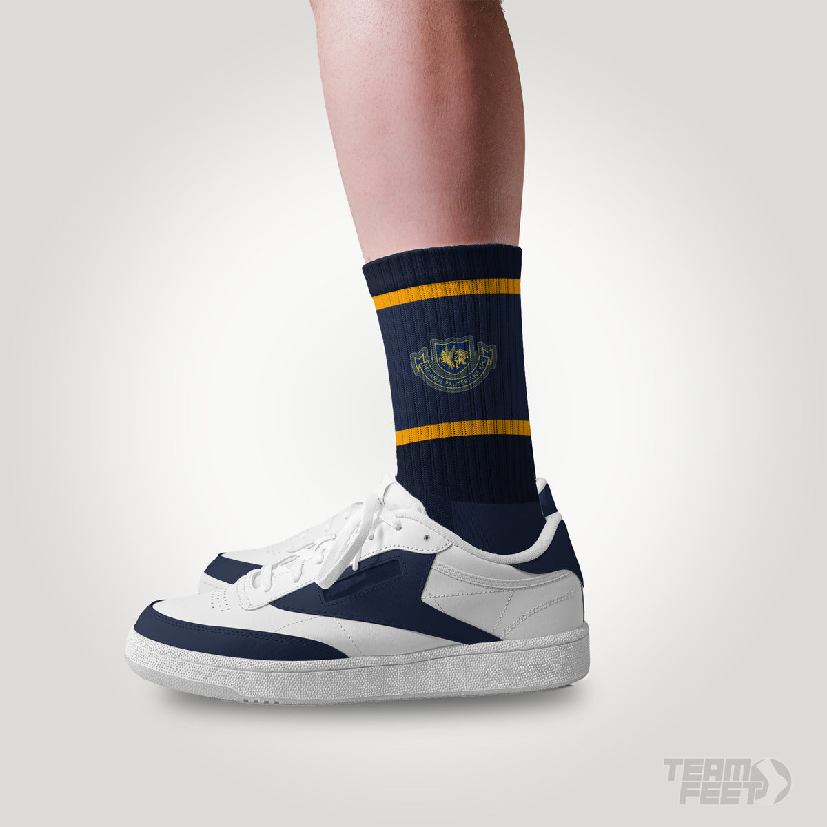 Pegasuspalmerians rfc  - MID mockup