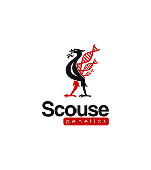 scouse genetics seeds - CREW